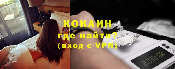 твердый Краснослободск